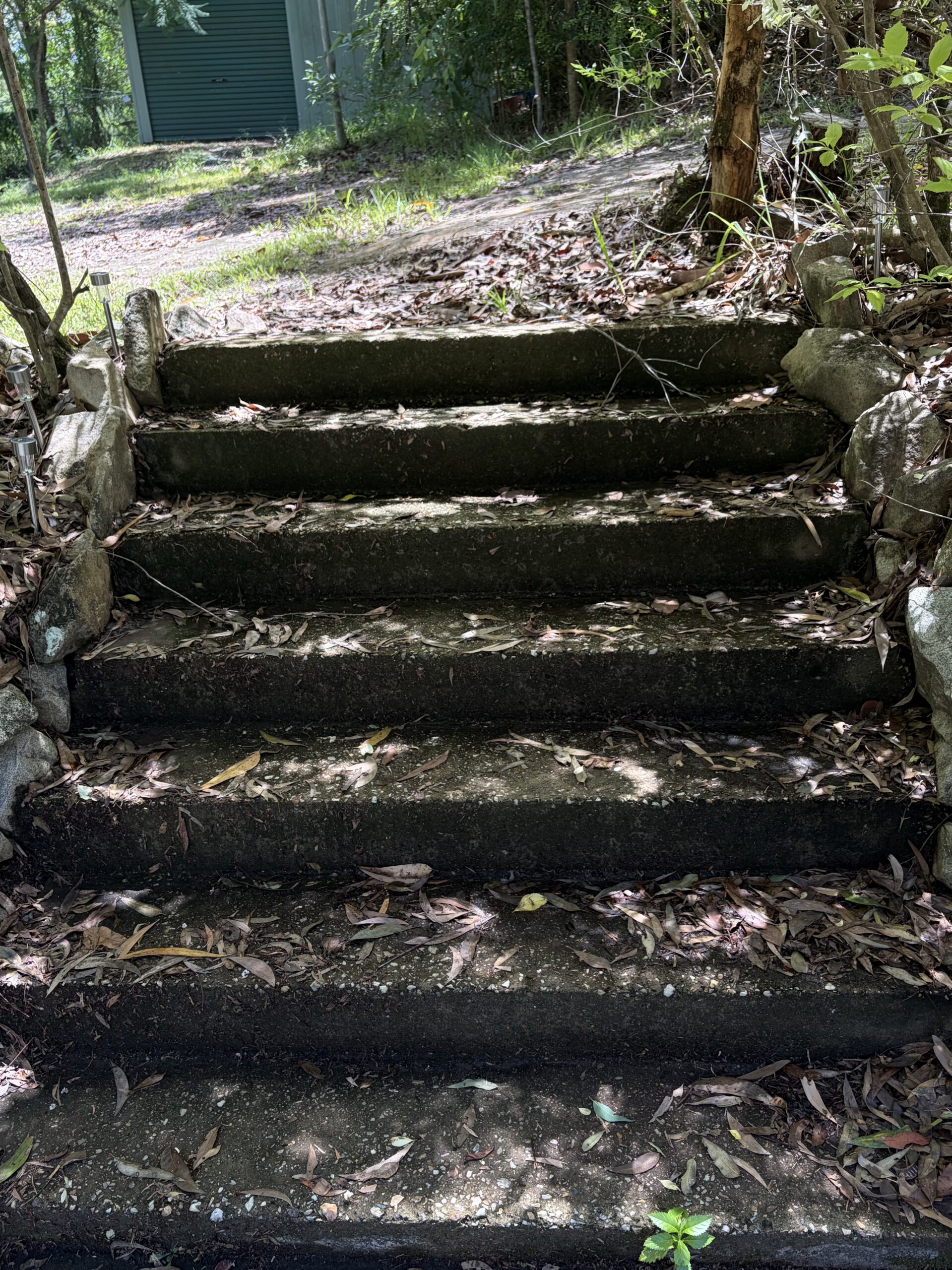 Before driveway cleaning