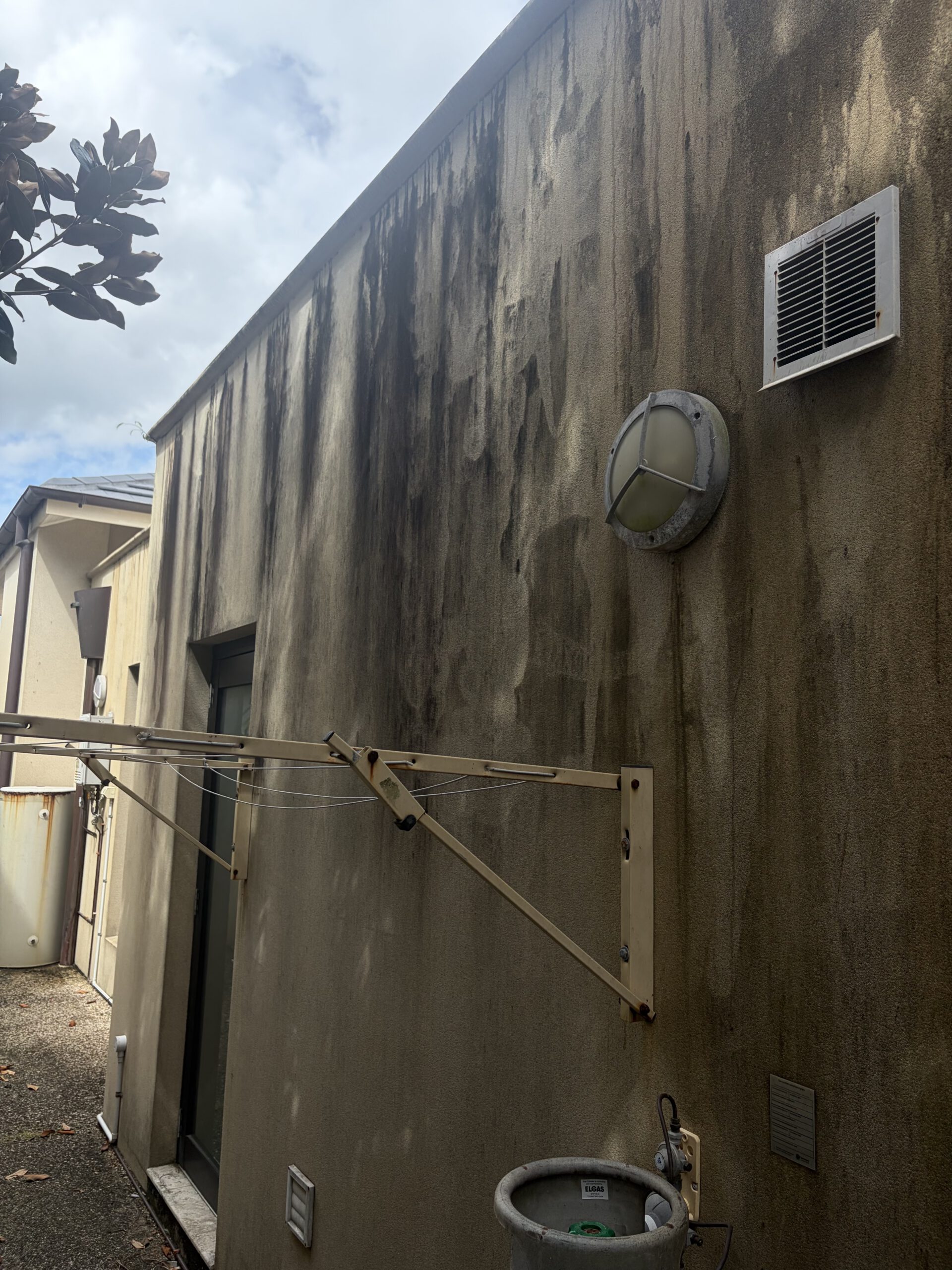 Before house washing